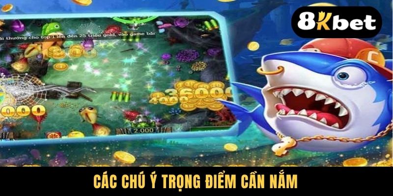 Giải Đáp Thắc Mắc Bắn Cá Đổi Thưởng Có Bịp Người Chơi Không 3 Các chú ý trọng điểm cần nắm