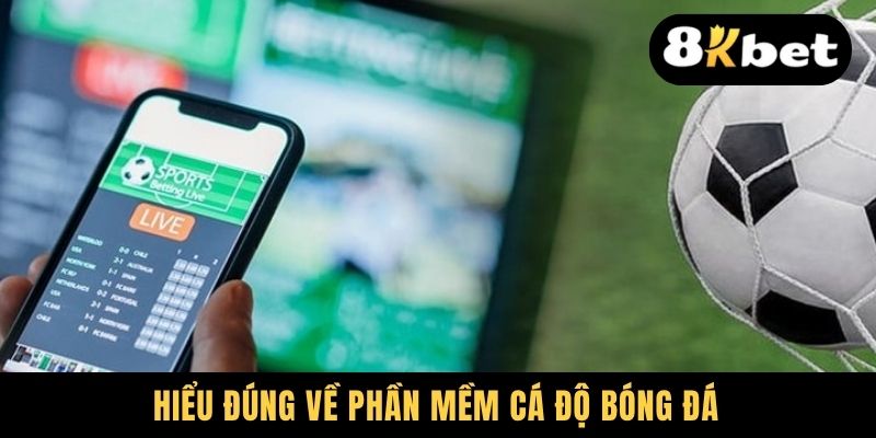 Hiểu đúng về phần mềm cá độ bóng đá