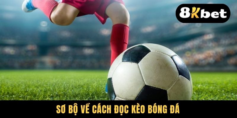 Sơ bộ về cách đọc kèo bóng đá
